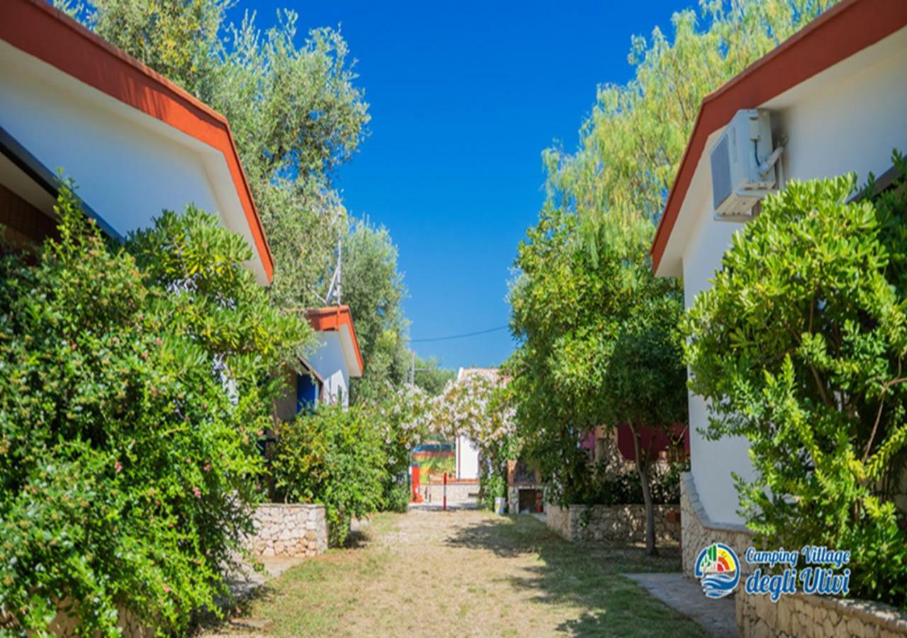 Camping Village Degli Ulivi Mattinata Exterior foto